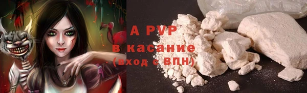 твердый Алзамай